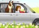 Llamas On The Go