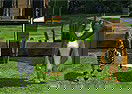 Madagascar Escape 2 Africa