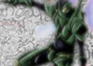 Mantodea Ex Machina