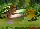 Metal Slug - Last Mission