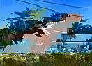 Mexico Rex