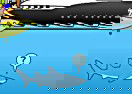 Miami Shark