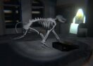 Missing Exhibits