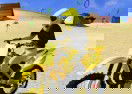 Moto Beach