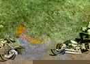 Moto Rallye