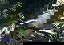 Motocross Forest Challenge