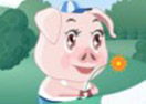 Mr Porco