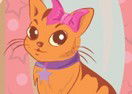 My Pretty Kitty Care