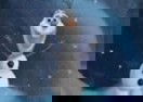 Olaf's Freeze Fall
