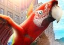 Parrot Simulator