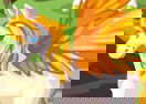 Pegasus Care