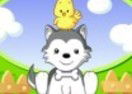 Perrito Bob
