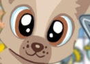 Pet Connect
