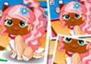 Pet Hairstyle Design