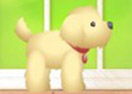 Pet Pick-Up