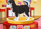 Petz Fashion