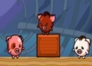 Pig Bros Adventure
