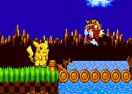 Pikachu in Sonic 1