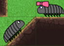 Pillbug Run