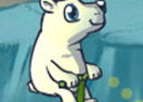 Polar Pogo