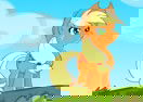 Pony Platform Project
