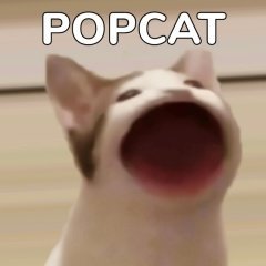 PopCat