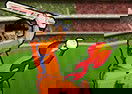 Power Cricket T20
