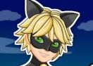 Prodigiosa Ladybug: Viste a Cat Noir