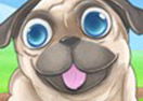 Pug the Dog