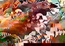 Puzzle: La Era del Hielo 3