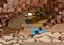 Regular Show Rome Adventure