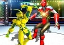 Robot Ring Fighting Wrestling