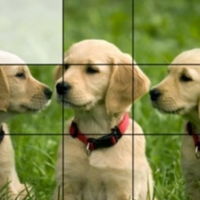 Rompecabezas de Animales: 3x3