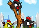 Rooster Revenge
