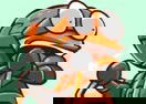 Run Raptor Rider