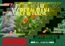 Secret of Mana