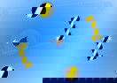 Shoot Bombs