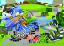 Sonic Rally