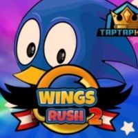 Sonic Wings Rush 2