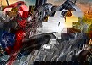 Spider-Man Dark Side