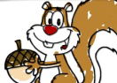Squirrel Coloring Book