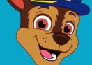 Super Paw Puppy Patrol Adventure Runner