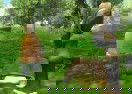 Survival Simulator