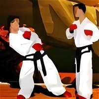 Taekwondo Online