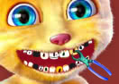 Talking Ginger At The Dentist