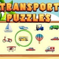 Transport Puzzles