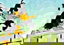 Tricky Duck Volleyball