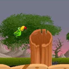 Tucan Bird