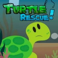 Turtle Rescue