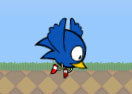 Velocity Wings